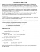 Calculos de combustion