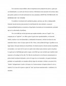 Importancia de adopción de animales