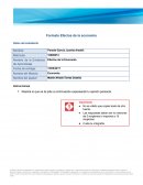 Formato Efectos de la economía