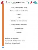 Trabajo integrador entrenamiento