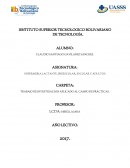 TRABAJO DE INVESTIGACION APLICADO AL CAMPO DE PRÁCTICAS.