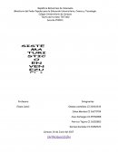 Sistema turistico en Venezuela