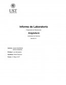 Laboratorio de Química Sección 5.1
