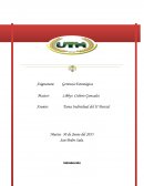 Informe sobre la la Matriz de Factores Externos y la Matriz de Perfil Competitivo