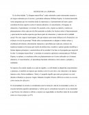 Los grandes Aprendizajes de una lampara maravillosa