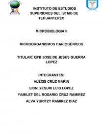 MICROORGANISMOS CARIOGÉNICOS. Página 1