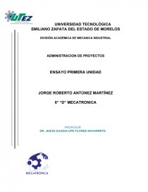 ADMINISTRACION DE PROYECTOS ENSAYO. Página 1