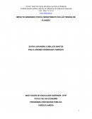 ANTEPROYECTO DE GRADO IMPACTO GENERADO POR EL MONOTRIBUTO EN LAS TIENDAS DE FLANDES