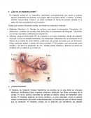 Que es el Implante coclear y para que sirve