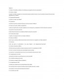 Sistema financiero mexicano Actividad