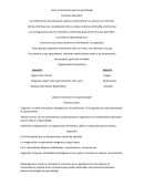 Auto conocimiento para el aprendizaje