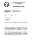 INFORME DE PROMOCIÓN DE SALUD Y NUTRICIÓN