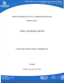 TÓPICOS ESPECIALES EN LA ADMINISTRACIÓN DE PROYECTOS. Página 1
