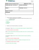 Actividad de Habilidades