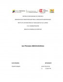 Procesos administrativos - ensayo