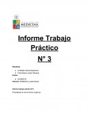 Informe trabajo practico propiedades de las funciones orgánicas
