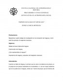 IMPORTANCIA DEL MAGUEY MEXICANO