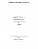 ESTUDIO DE CASO COMPAÑÍA TUS PISADAS