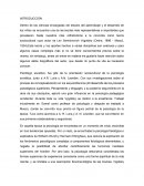 LAS FUNCIONES PSICOLÓGICAS SUPERIORES