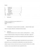 Trabajo Final de Servicio Social