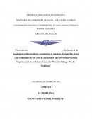 Conocimiento relacionado a las patologías cardiovasculares secundarias al consumo de cigarrillo en los y las estudiantes de 1er año de medicina de la Universidad Nacional Experimental de los Llanos Centrales “Rómulo Gallegos Núcleo Calabozo”