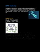 Revista de biologia