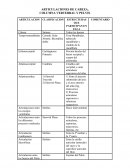 Milogía musculos antebrazo