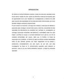 Crema exfoliante INTRODUCCION