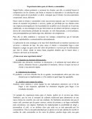 Experiencia única para el cliente o consumidor