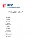 Caso Pakassa S.R.L