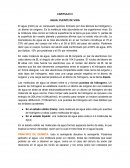 RESUMEN CORTO QUIMICA SEGUNDA UNIDAD AGUA