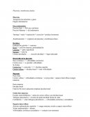 Placenta y membranas fetales