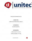 Infome Introducción DERECHO INTERNACIONAL PUBLICO