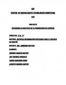 PROYECTO (DESARROLLO LOGISTICO DE LA PRODUCCION DE CERVEZA)