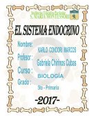 CUAL EL SISTEMA ENDOCRINO