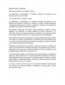 Negocios locales y regionales