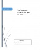 CINE CHILENO. Películas chilenas reconocidas