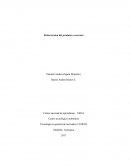 Proyecto la escobita