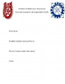 Practica de “Carga-Cuerpo Rigidez”