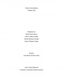 Teorías Administrativas Trabajo Final