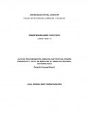 AUTO DE PROCESAMIENTO, MEDIDAS SUSTITUTIVAS, PRISIÓN PREVENTIVA Y FALTA DE MÉRITO EN EL DERECHO PROCESAL GUATEMALTECO