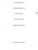 RELFEXION Y APLICACION DE LAS COMPETENCIAS DE LA INTELIGENCIA EMOCIONAL