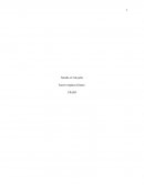 Ensayo Nacido el 4 de julio