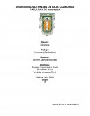 DESCRIPCIÓN DE ACTIVIDADES/IDEAS PRINCIPALES