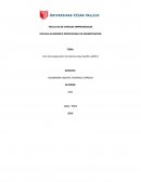 Foro de Cooperación Económica Asia-Pacífico (APEC)