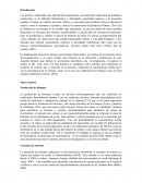 Marco teorico de bioprocesos