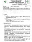 Electrolisis Observar cada uno de los complejos y coloración obtenidos