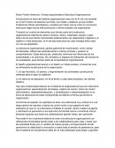 Ensayo argumentativo Estructura Organizacional
