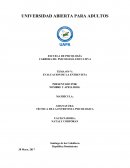 Como se da la Tecnica de la entrevista