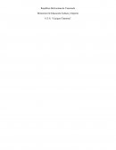 Identidad nacional en Venezuela